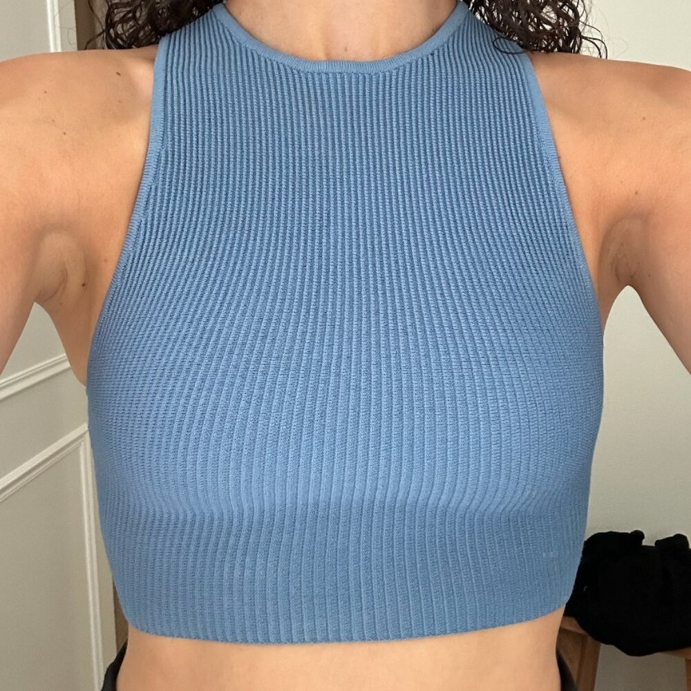 Aritizia XS Babaton Sculptknit High Neck Tank Top